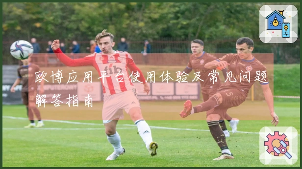 欧博应用平台使用体验及常见问题解答指南
