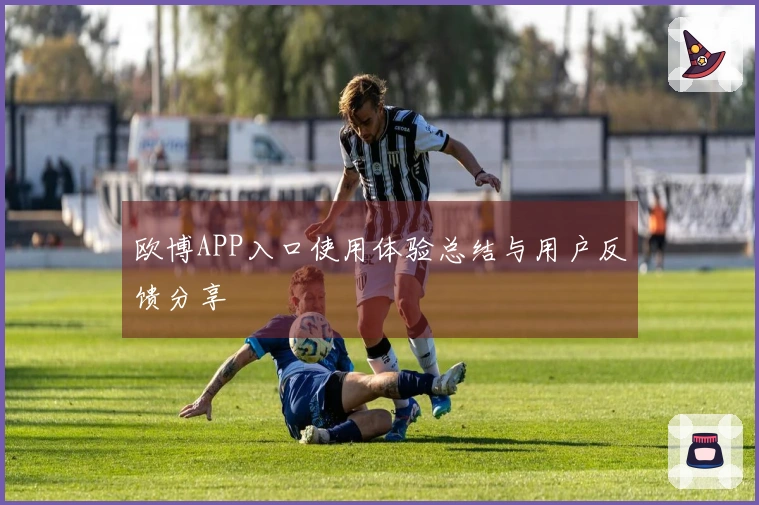 欧博APP入口使用体验总结与用户反馈分享