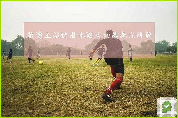 欧博主站使用体验及功能亮点详解
