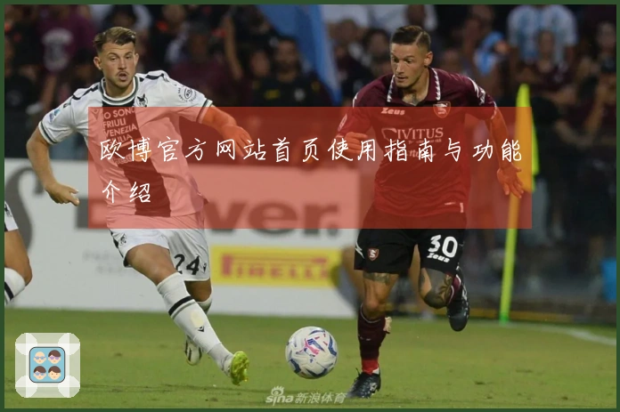 欧博官方网站首页使用指南与功能介绍