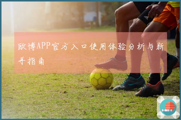 欧博APP官方入口使用体验分析与新手指南