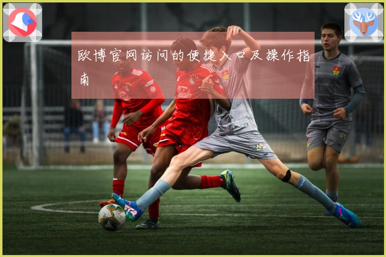 欧博官网访问的便捷入口及操作指南